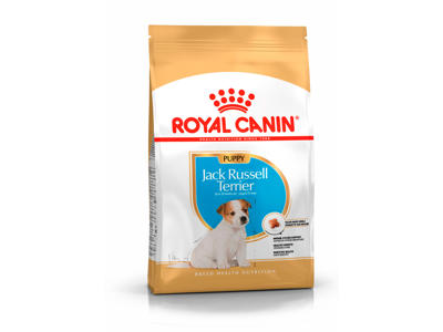 BHN Jack Russell Junior 3 KG