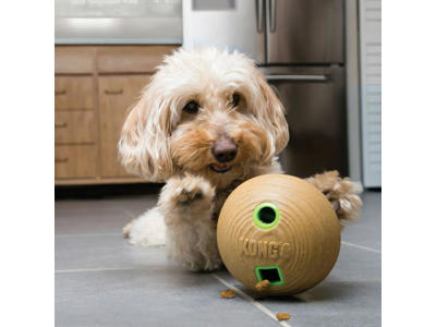 Kong bamboo feeder ball