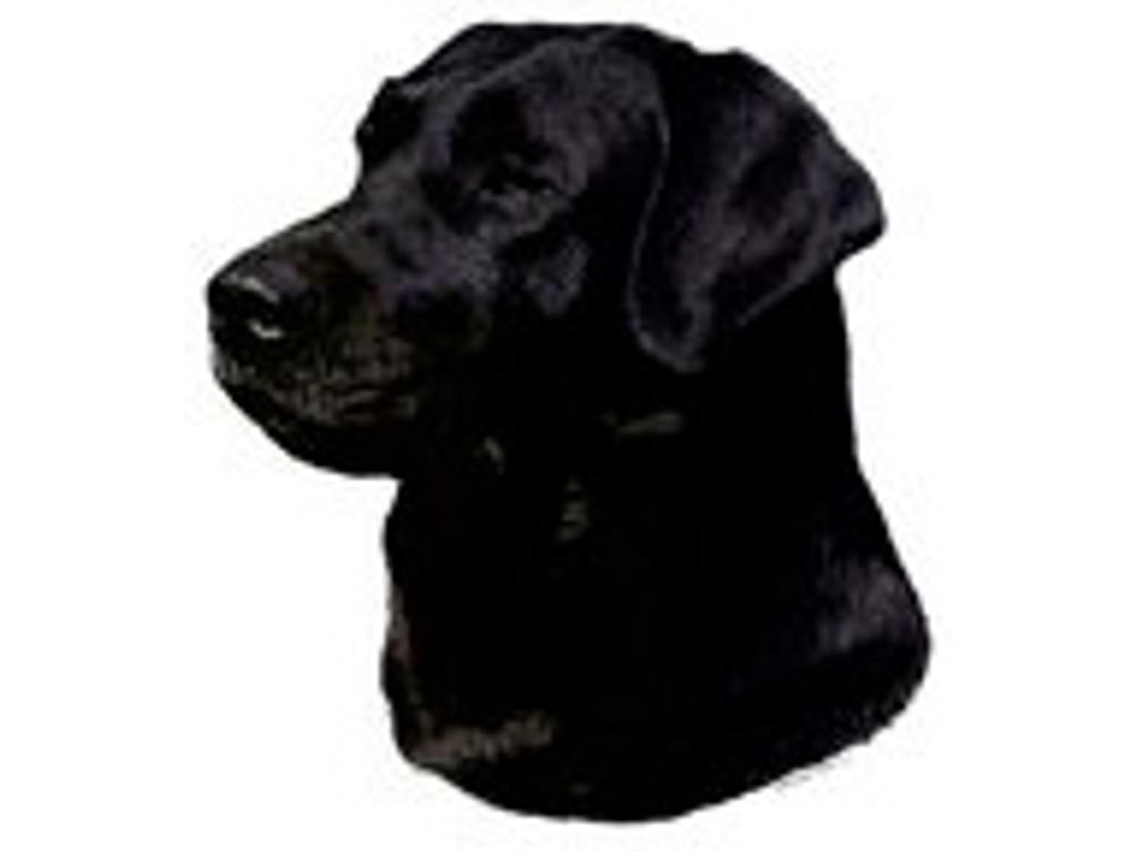 LABRADOR SORT STOR DEKAL