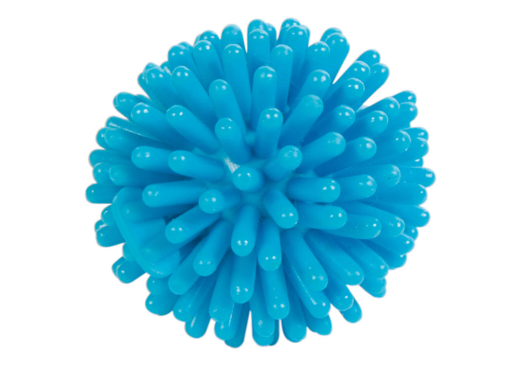 PINDSVINBOLD KATTELEGETØJ Assorteret farve