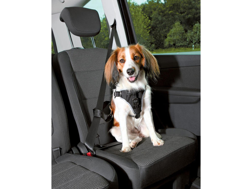  Dog Protect sikkerhedssele, M: 50–65 cm/20 mm,
 sort