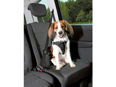  Dog Protect sikkerhedssele, M: 50–65 cm/20 mm,
 sort