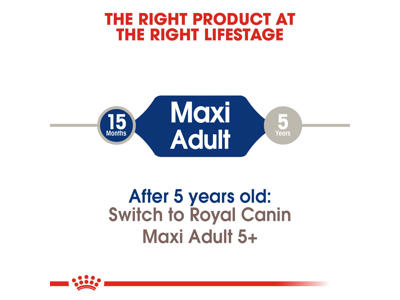 SHN Maxi Adult 15 KG