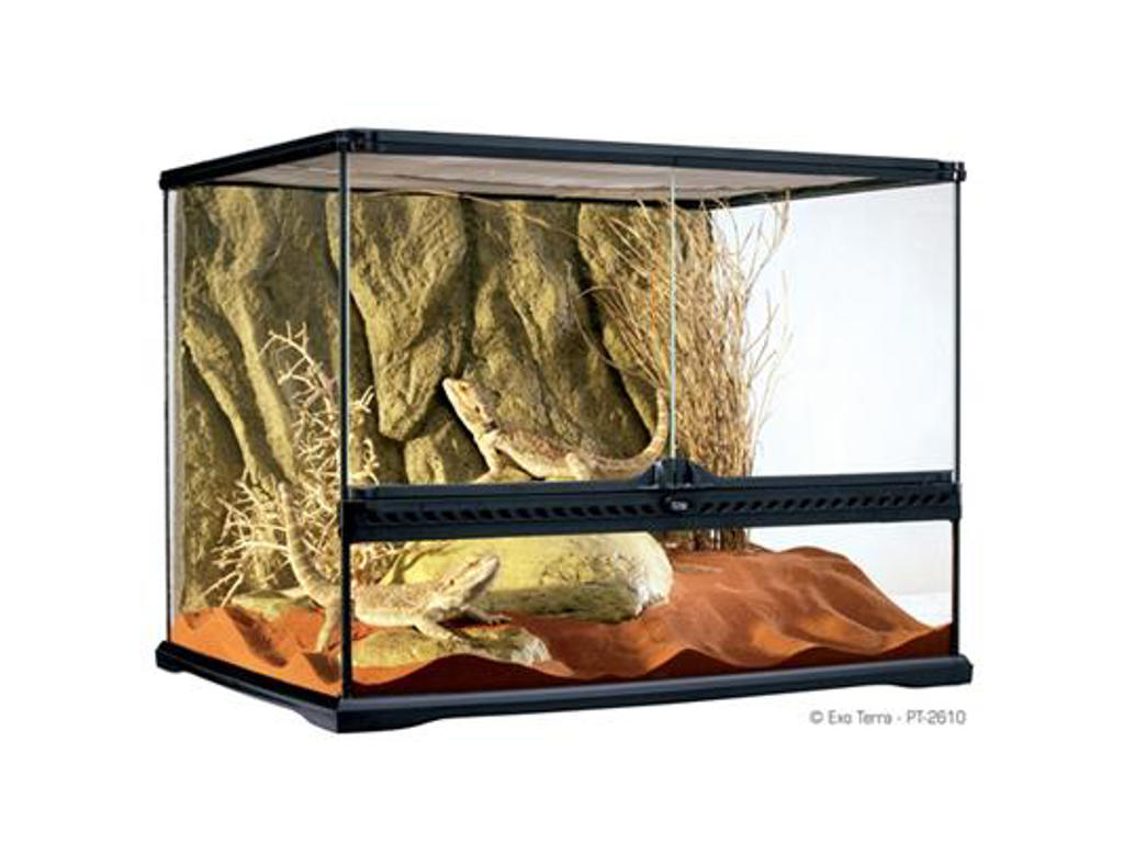 ExoTerra terrarium 60 x 45 x 45 cm.