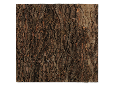 Kork baggrund 58,5x56x2 cm