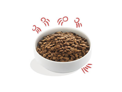 EC fresh free-run senior kylling&laks 12kg