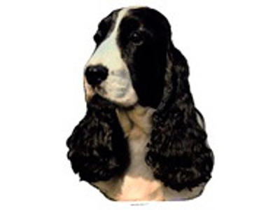 KW COCKER SPANIEL 18 CM /2 STK