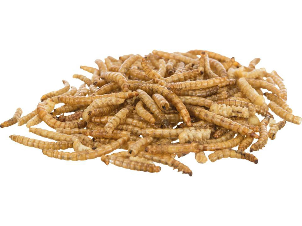 Melorm til hamster 200g.