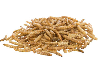 Melorm til hamster 200g.