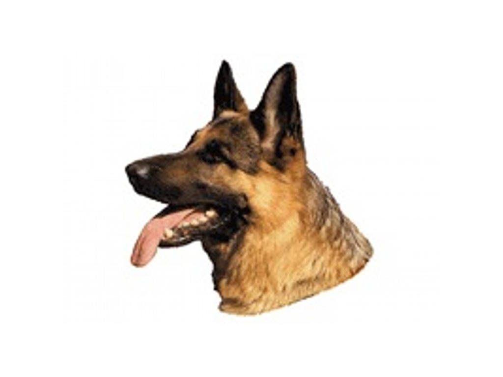 SCHÆFER SORT/GUL MINI DEKAL PS/4
