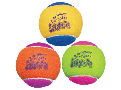 Kong squeaker fødselsdags boldt M ø6CM