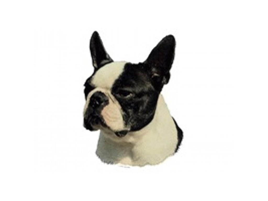 BOSTON TERRIER MINI DEKAL PS/4
