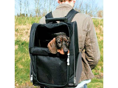 Tbag Trolley, 36 × 50 × 27