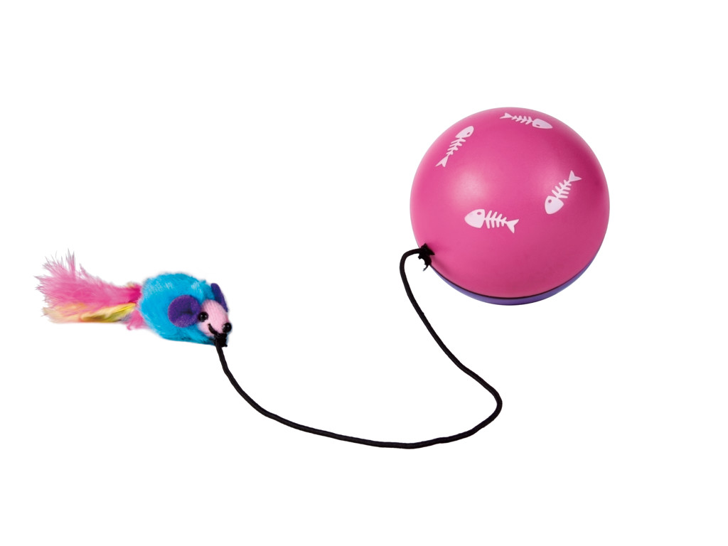 Turbinio, bold m.motor og mus