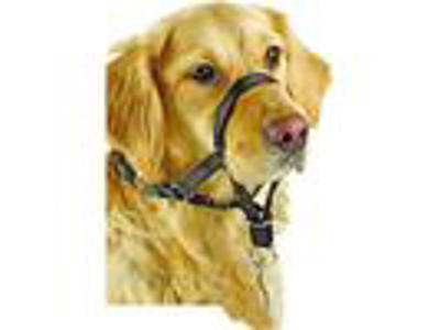 Gå pænt snudesele str.2