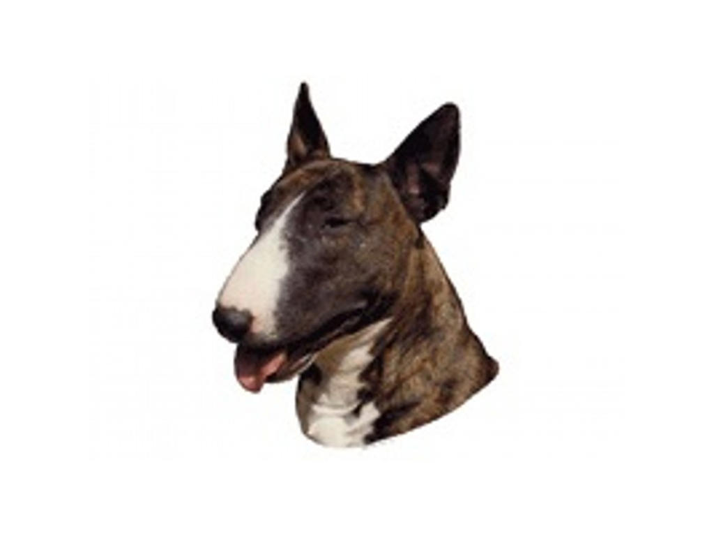 BULL TERRIER BRINDLE MINI DEKAL PS/4 