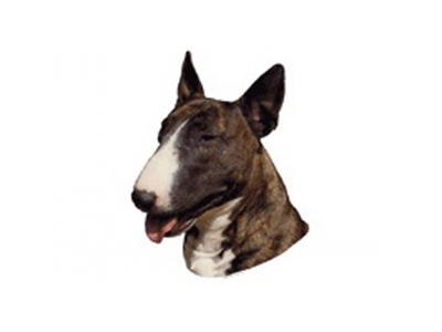 BULL TERRIER BRINDLE MINI DEKAL PS/4 