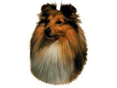 KW SHETLAND SHEEPDOG 8.5 CM / 4 STK