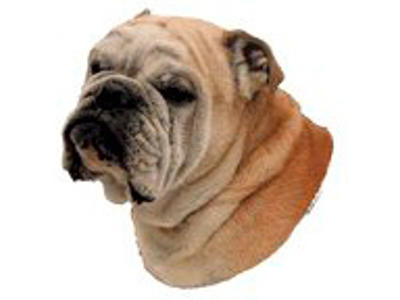 KW ENGLISH BULLDOG 8 CM / 4 STK