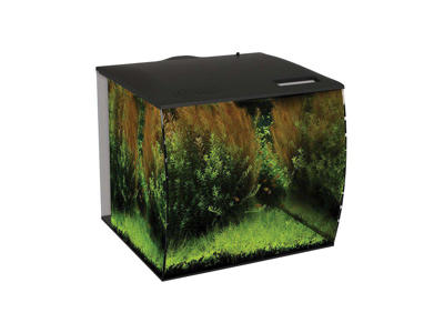 Fluval flex akvarie 57L sort 42 X 38 X 39,5cm