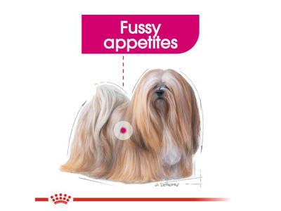 RC Mini Exigent 3 KG