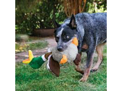 KONG SHAKERS HONKERS DUCK S 24x10x10 CM
