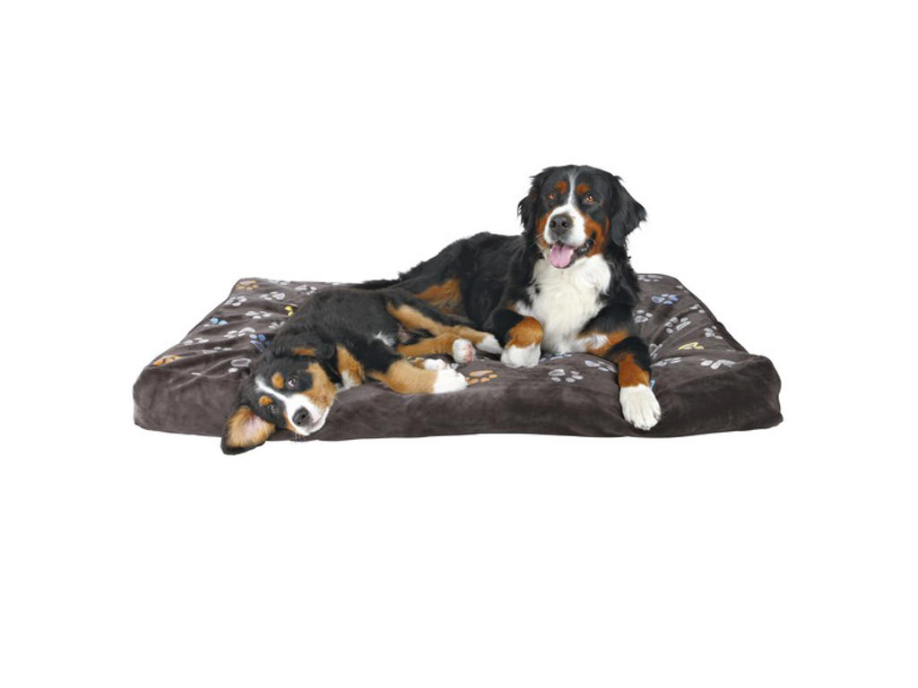 Jimmy pude, 80 × 55 cm, grå