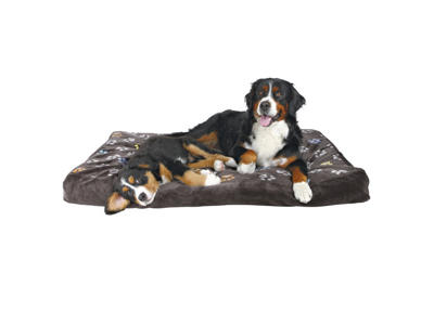 Jimmy pude, 80 × 55 cm, grå