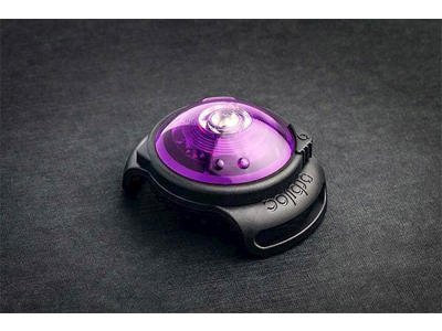 ORBILOC DOG DUAL SAFETY LIGHT LILLA