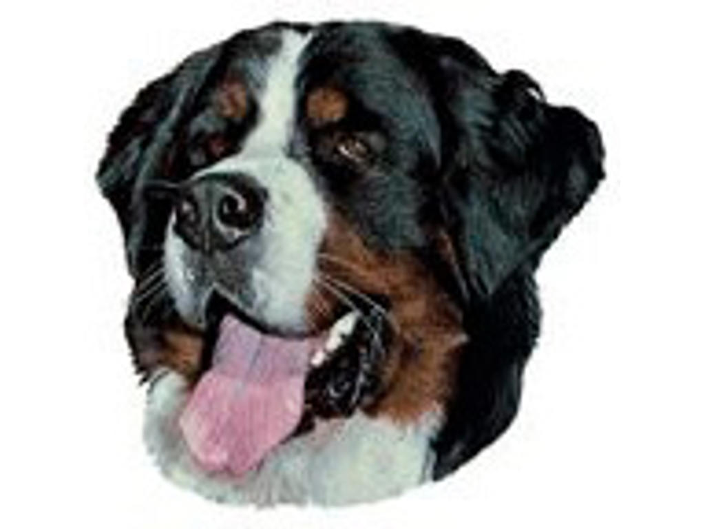 KW BERNER SENNEN 7 CM / 4 STK