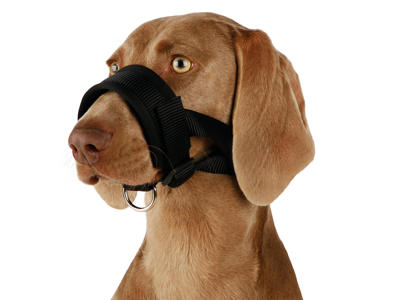 Nylon-mundkurvstrop, str. M-L