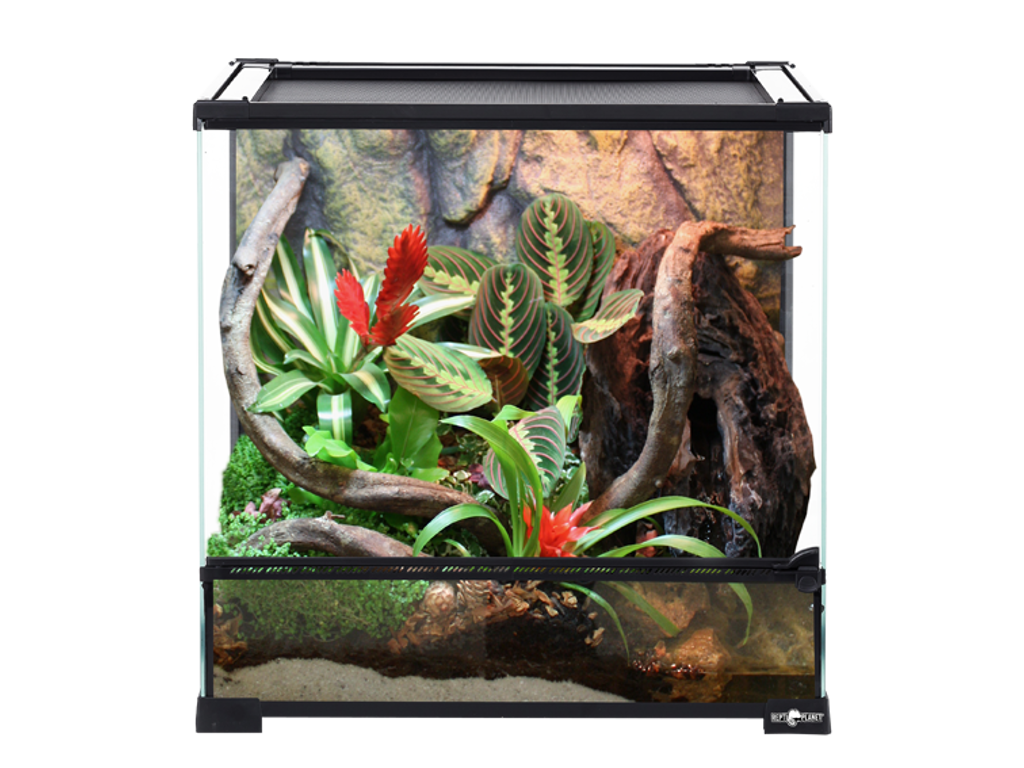 Terrarium 60x45x60cm