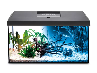 Leddy 60 Day & Night 54 Ltr. sort