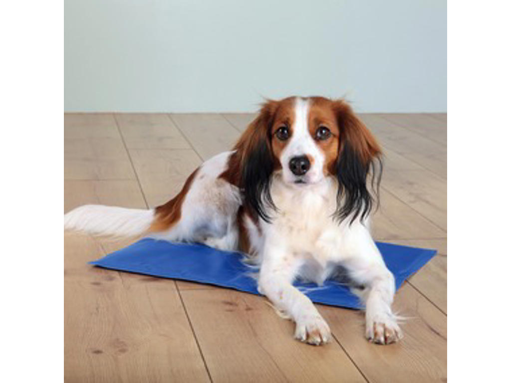 Kølemåtte, 90 × 50 cm, blå