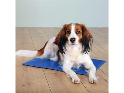 Kølemåtte, 90 × 50 cm, blå