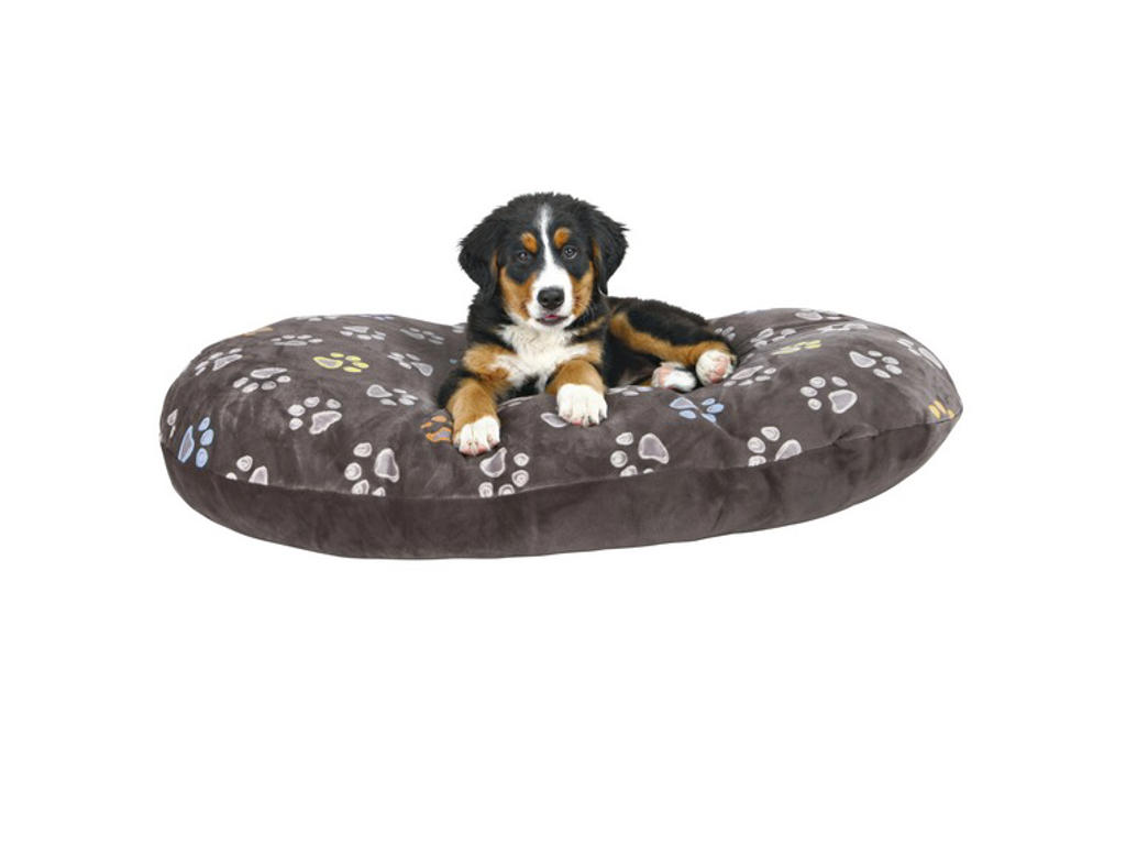 Jimmy pude, 50 × 35 cm, grå