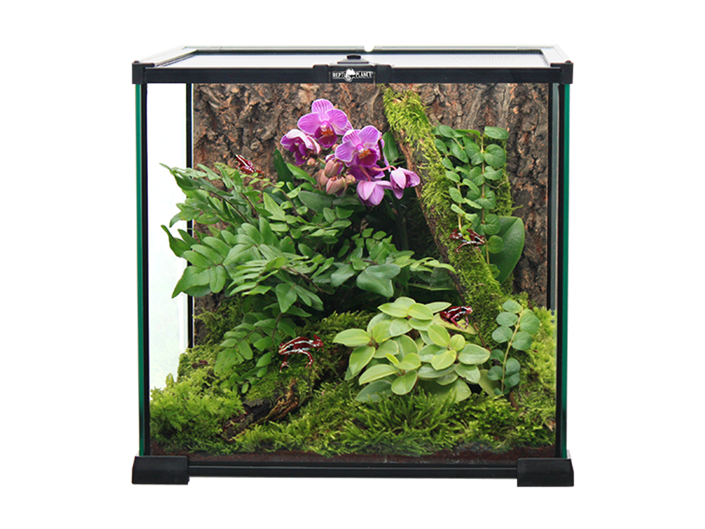 Terrarium 20x20x20cm