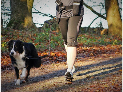 Bælte m.line sort,maverem 60-120cm/40 line:1-1,35m/25