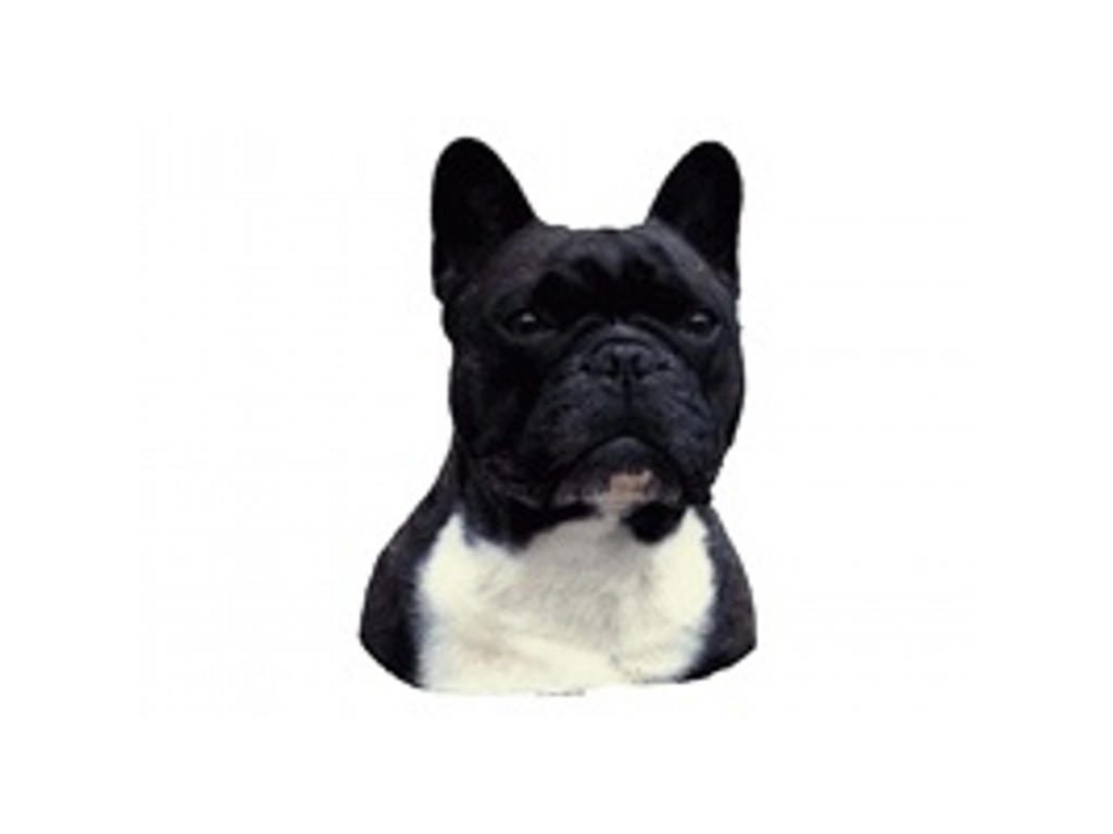 FRANSK BULLDOG MINI DEKAL PS/4
