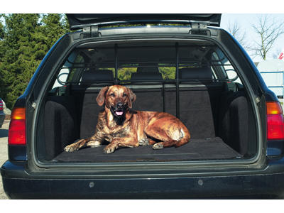 Sikkerhedsgitter t. bil 85-140