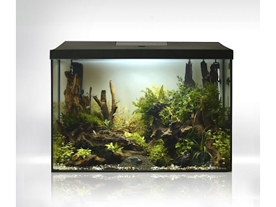Aquael Leddy 60 XL Sort Akvariesæt – D&N LED Version 2.0