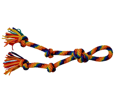 Rainbow Hundereb 60 cm med 5 Knuder og Løkkehåndtag – Kraftigt Reblegetøj til Hund