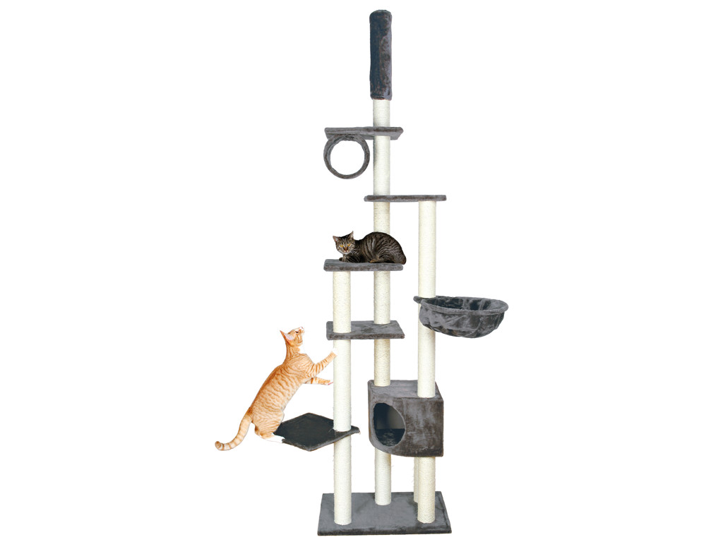 Kattemiljø Madrid gr.2kasse