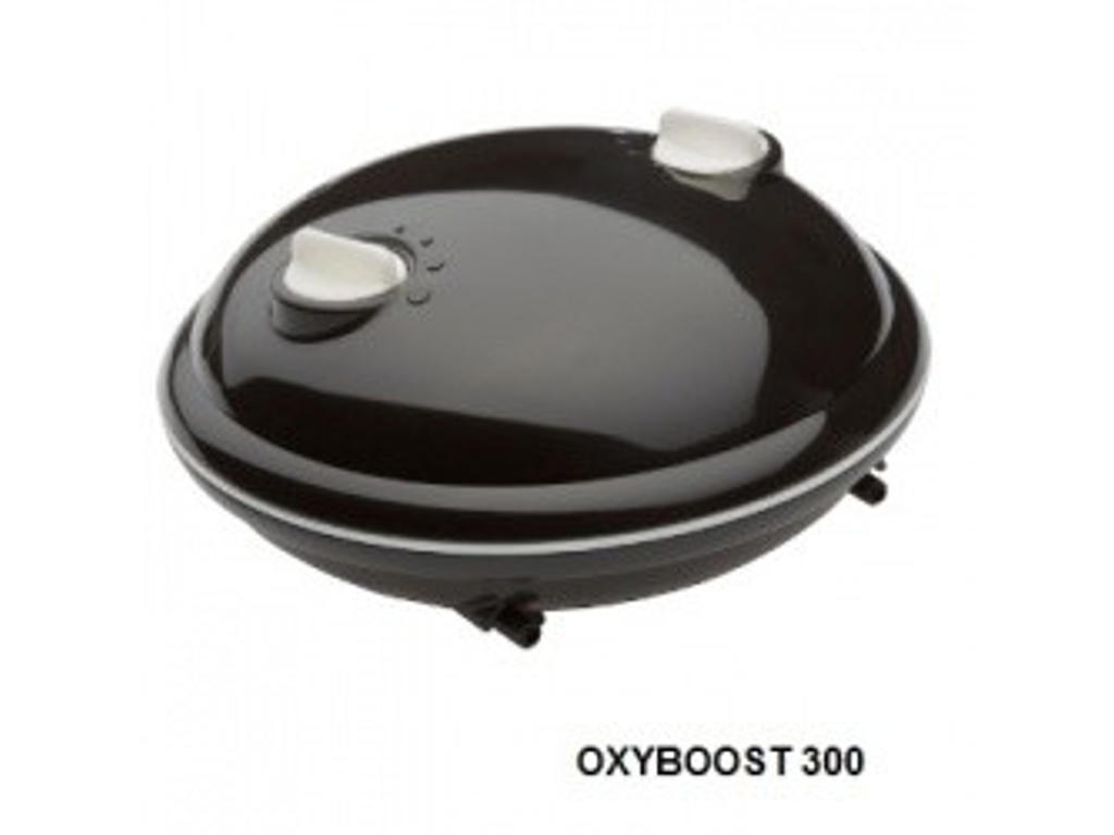 Luftpumpe Oxyboost APR300