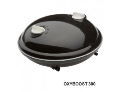Luftpumpe Oxyboost APR300