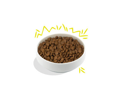 EC plant-based adult, gulerod/squash 2,5 kg