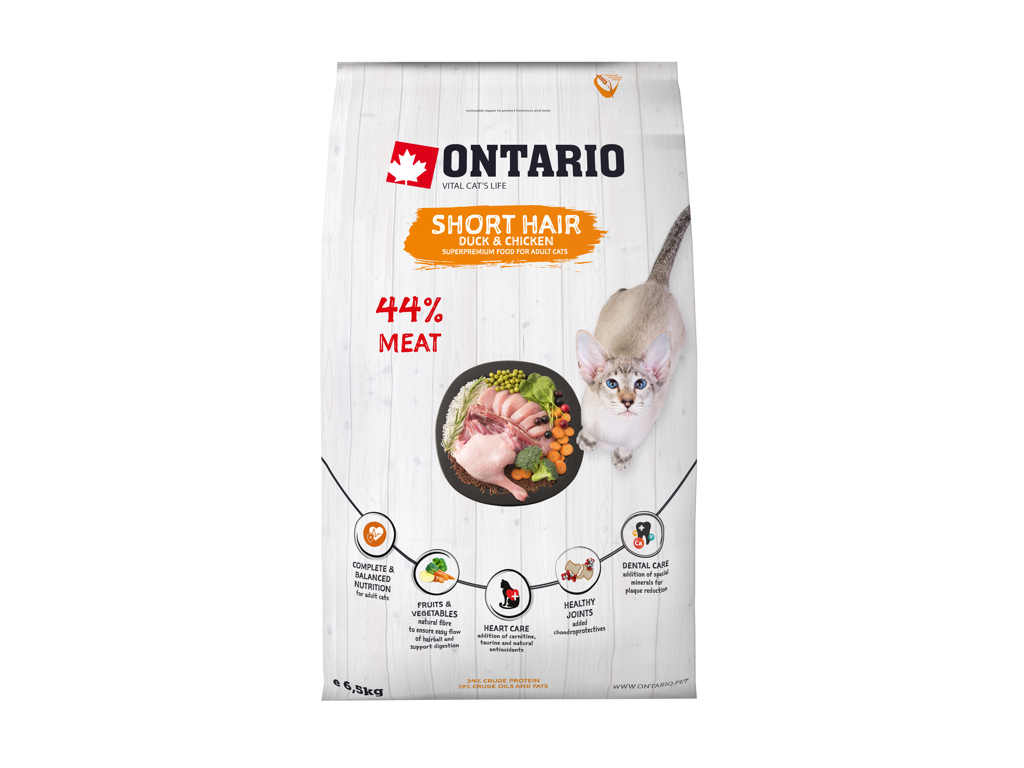 Ontario cat shorthair 6,5kg