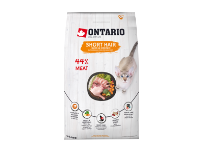 Ontario cat shorthair 6,5kg