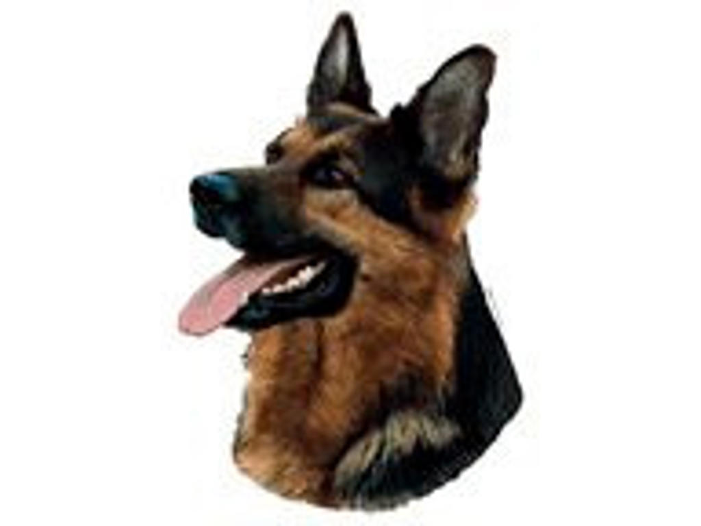 SCHÆFER HOVED MINI DEKAL PS/4
