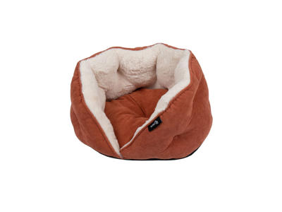 District 70 tuck terra